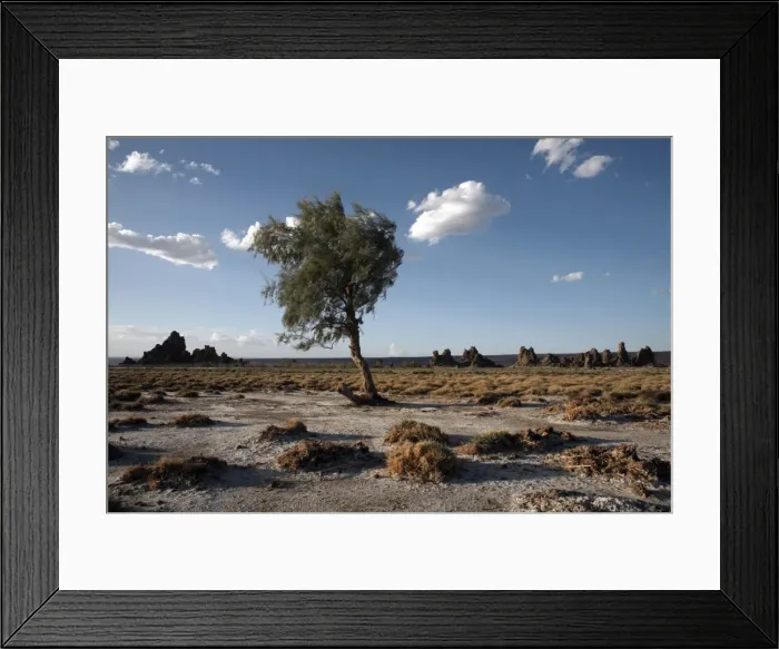 Framed Print : The desolate landscape of Lac Abbe, dotted with limestone chimneys, Djibouti, Africa Framed Print : The desolate landscape of Lac Abbe, dotted with limestone chimneys, Djibouti, Africa