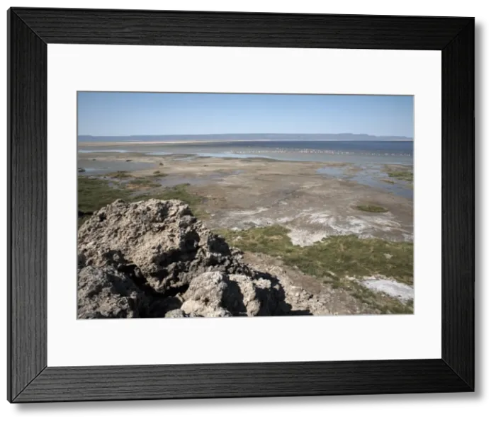 Framed Print : The desolate landscape of Lac Abbe, Djibouti, Africa Framed Print : The desolate landscape of Lac Abbe, Djibouti, Africa
