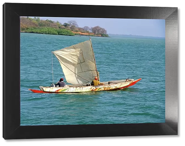 Canoe with sail, River Gambia, the Gambia, West Africa, Africa