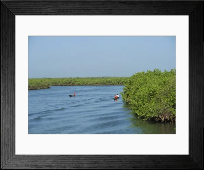 Framed Print : Dug out canoes on the River Gambia, Gambia, West Africa, Africa Framed Print : Dug out canoes on the River Gambia, Gambia, West Africa, Africa