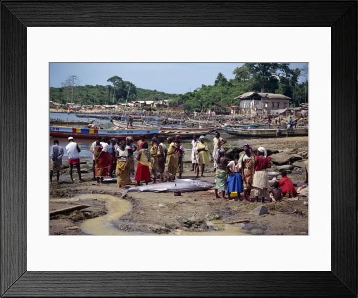 Framed Print : Fishing boats and catch, Dixcove, Ghana, West Africa, Africa Framed Print : Fishing boats and catch, Dixcove, Ghana, West Africa, Africa