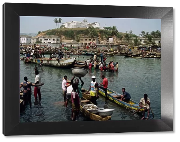 Fishermen bringing catch ashore, Elmina, Ghana, West Africa, Africa