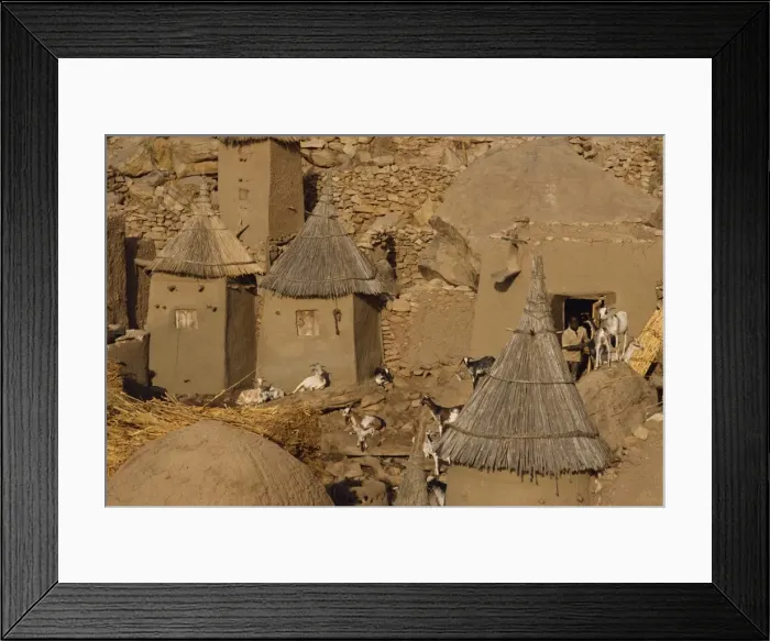 Framed Print : Goats and grain store in Dogon village, Bandiagara Escarpment, Mali, West Africa, Africa Framed Print : Goats and grain store in Dogon village, Bandiagara Escarpment, Mali, West Africa, Africa