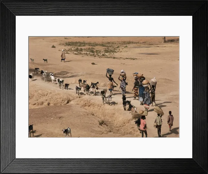 Framed Print : Women on their way to washplace in the River Niger, Mali, Africa Framed Print : Women on their way to washplace in the River Niger, Mali, Africa