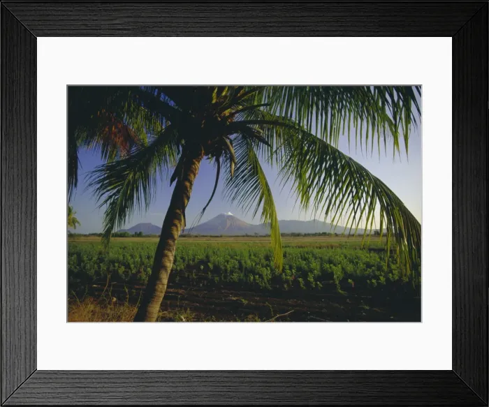 Framed Print : View north across fields at Chichigalpa to Volcan San Cristobal at the northwest end of Nicaraguas chain of volcanoes, Nicaragua Framed Print : View north across fields at Chichigalpa to Volcan San Cristobal at the northwest end of Nicaraguas chain of volcanoes, Nicaragua