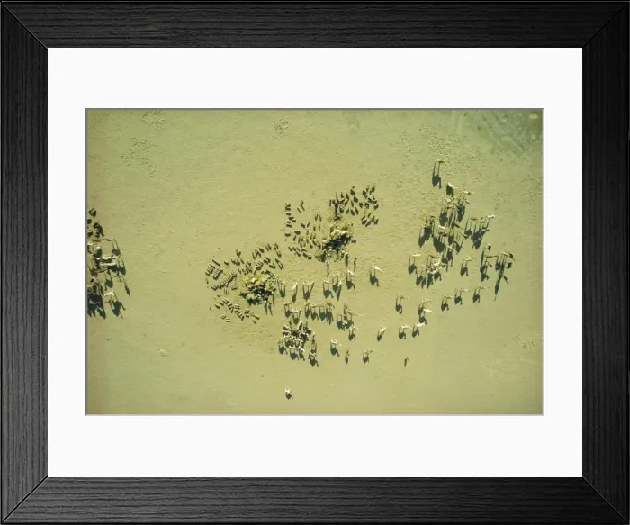 Framed Print : Bilma salt caravan, Niger, Africa Framed Print : Bilma salt caravan, Niger, Africa