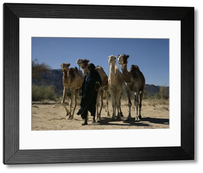 Framed Print : Air Mountains, Niger, Africa Framed Print : Air Mountains, Niger, Africa