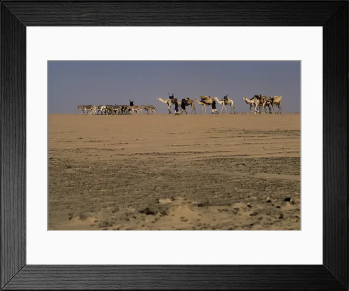 Framed Print : Tuaregs, Azaoua, Niger, Africa Framed Print : Tuaregs, Azaoua, Niger, Africa
