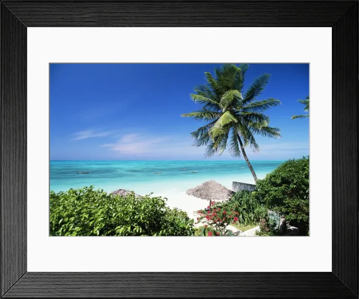 Framed Print : View through palm trees towards beach and Indian Ocean, Jambiani, island of Zanzibar Framed Print : View through palm trees towards beach and Indian Ocean, Jambiani, island of Zanzibar