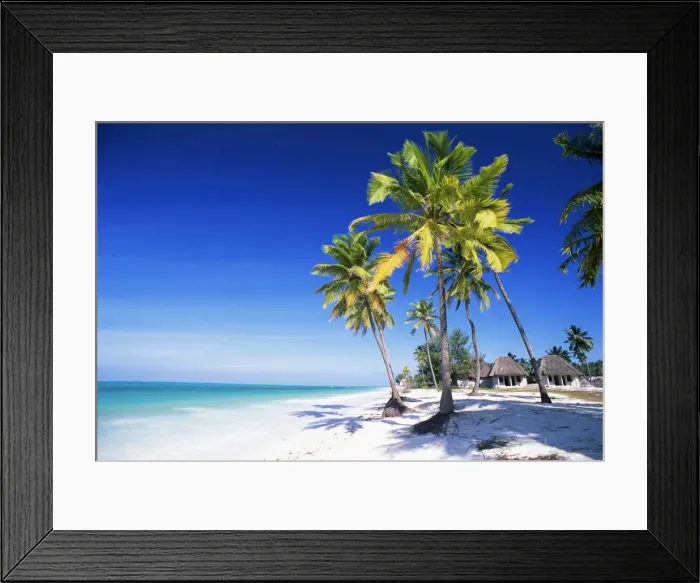Framed Print : Palm trees, white sandy beach and Indian Ocean, Jambiani, island of Zanzibar Framed Print : Palm trees, white sandy beach and Indian Ocean, Jambiani, island of Zanzibar