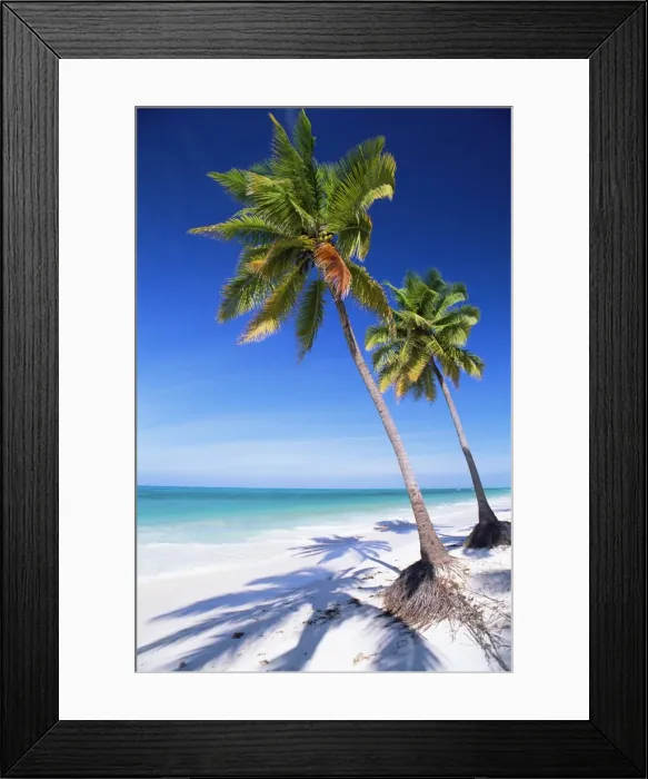 Framed Print : Palm tree, white sand beach and Indian Ocean, Jambiani, island of Zanzibar Framed Print : Palm tree, white sand beach and Indian Ocean, Jambiani, island of Zanzibar