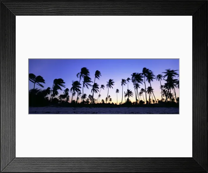 Framed Print : Beach scene at twilight with palm trees in silhouette, near Bweju, island of Zanzibar Framed Print : Beach scene at twilight with palm trees in silhouette, near Bweju, island of Zanzibar