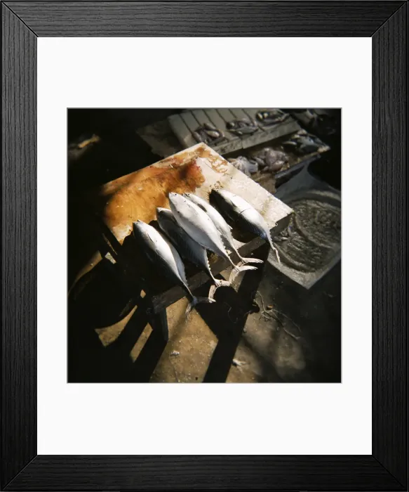 Framed Print : Kingfish laid on cutting block, fish market, Stone Town, Zanzibar, Tanzania Framed Print : Kingfish laid on cutting block, fish market, Stone Town, Zanzibar, Tanzania