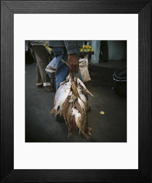 Framed Print : Fresh fish bundled with string, Stone Town, Zanzibar, Tanzania, East Africa, Africa Framed Print : Fresh fish bundled with string, Stone Town, Zanzibar, Tanzania, East Africa, Africa