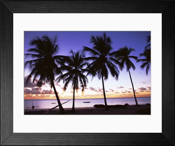 Framed Print : Palm trees in silhouette at dawn, Jambiani, Zanzibar, Tanzania, East Africa, Africa Framed Print : Palm trees in silhouette at dawn, Jambiani, Zanzibar, Tanzania, East Africa, Africa