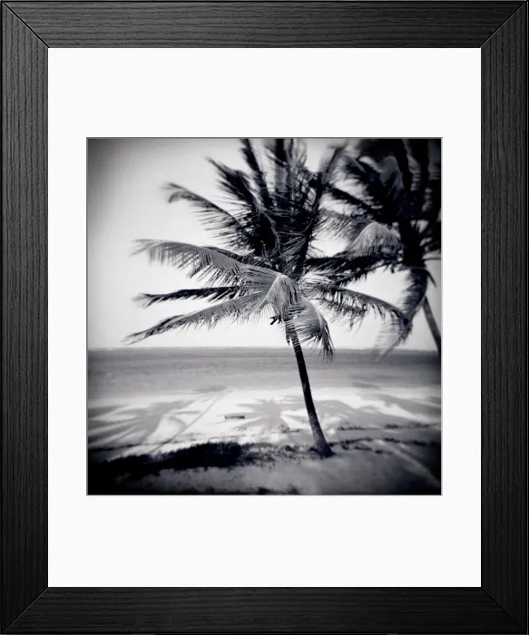 Framed Print : Image taken with a Holga medium format 120 film toy camera of palm trees by the beach at Bweju Framed Print : Image taken with a Holga medium format 120 film toy camera of palm trees by the beach at Bweju