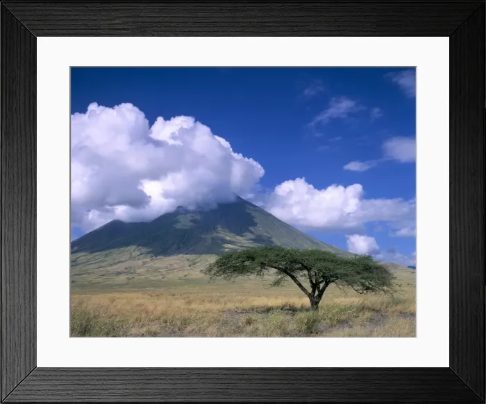 Framed Print : The Masais holy mountain, Tanzania, East Africa, Africa Framed Print : The Masais holy mountain, Tanzania, East Africa, Africa