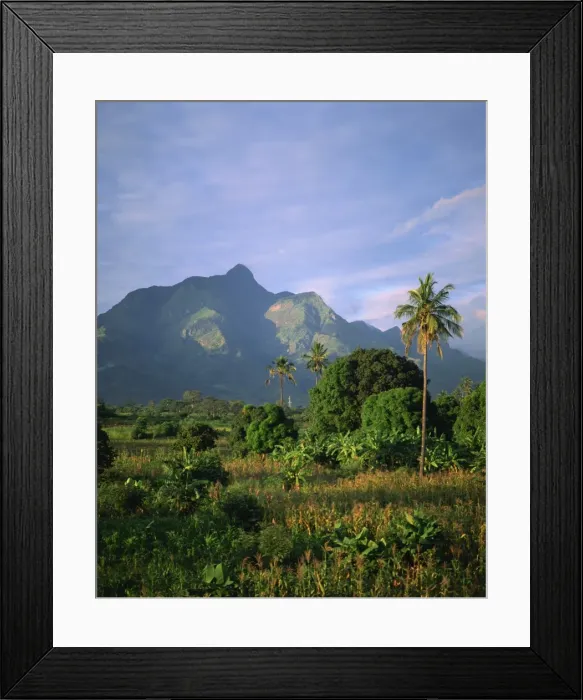 Framed Print : Landscape at dusk, Tanzania, East Africa, Africa Framed Print : Landscape at dusk, Tanzania, East Africa, Africa