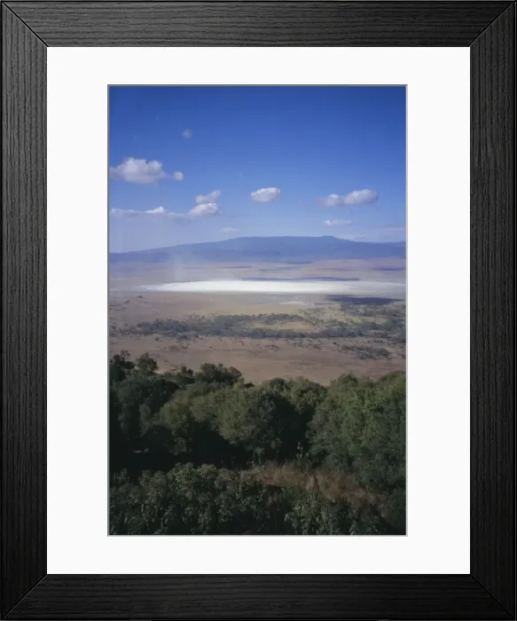 Framed Print : Wildlife, mossy trees, clouds and salt lake, Ngorongoro Crater, Ngorongoro Conservation Area Framed Print : Wildlife, mossy trees, clouds and salt lake, Ngorongoro Crater, Ngorongoro Conservation Area