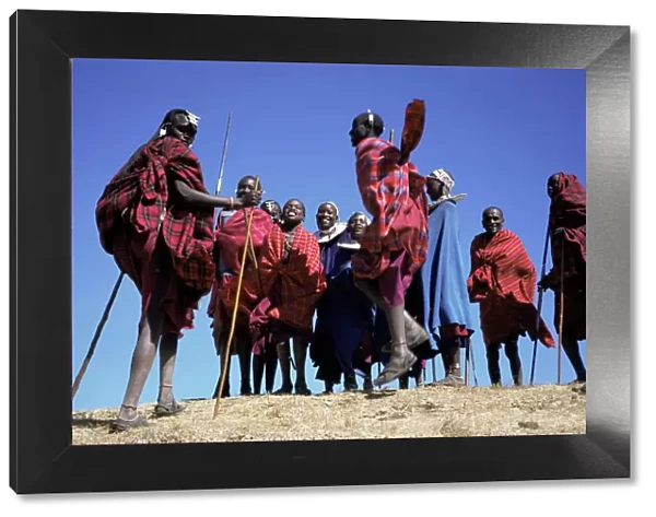 Masai warriors performing jumping dance, Serengeti Park, Tanzania, East Africa, Africa