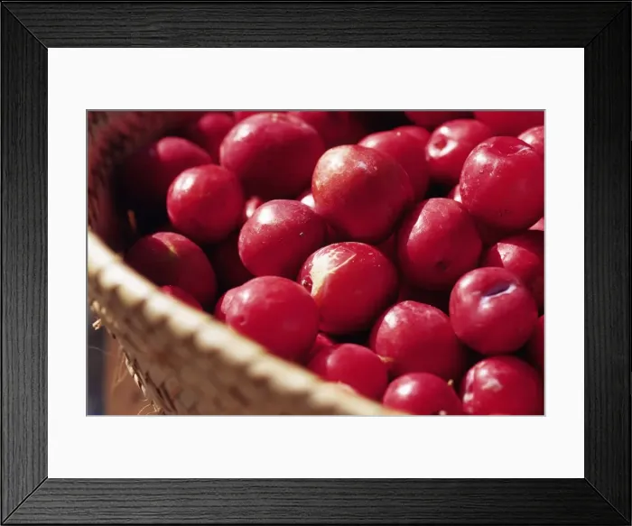 Framed Print : Plums from the market, Stone Town, island of Zanzibar, Tanzania, East Africa, Africa Framed Print : Plums from the market, Stone Town, island of Zanzibar, Tanzania, East Africa, Africa