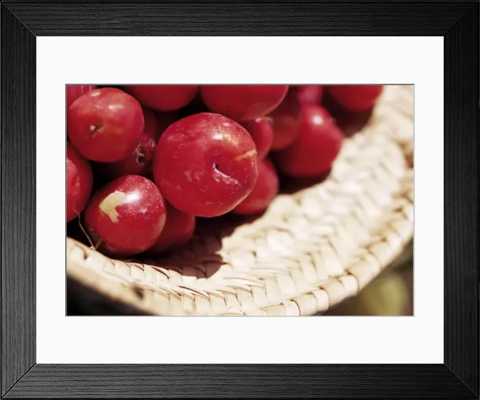 Framed Print : Plums in a basket, Zanzibar, Tanzania, East Africa, Africa Framed Print : Plums in a basket, Zanzibar, Tanzania, East Africa, Africa