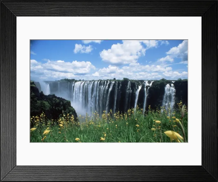 Framed Print : Flowers in bloom with the Victoria Falls behind, UNESCO World Heritage Site Framed Print : Flowers in bloom with the Victoria Falls behind, UNESCO World Heritage Site