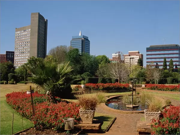 Harare Public Gardens, and city skyline, Harare, Zimbabwe, Africa