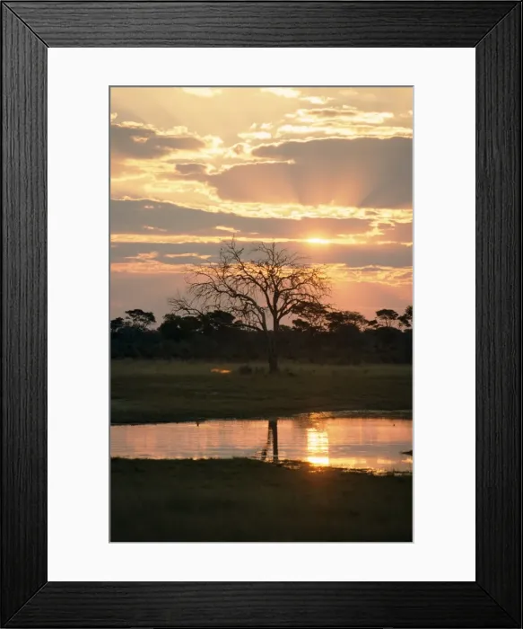 Framed Print : Sunset and waterhole, Hwange National Park, Zimbabwe, Africa Framed Print : Sunset and waterhole, Hwange National Park, Zimbabwe, Africa