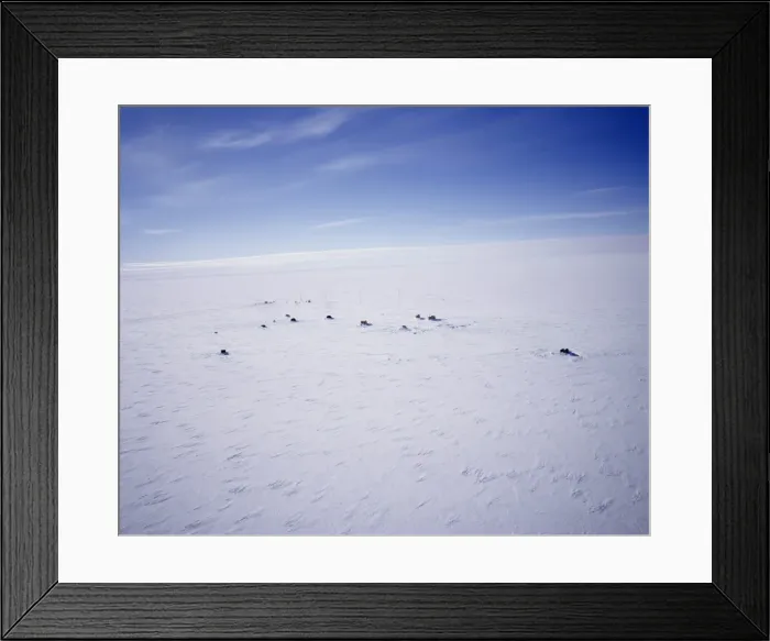 Framed Print : Aerial view of Siple Station, main base is 40ft under the ice, United States Antarctic Program Framed Print : Aerial view of Siple Station, main base is 40ft under the ice, United States Antarctic Program