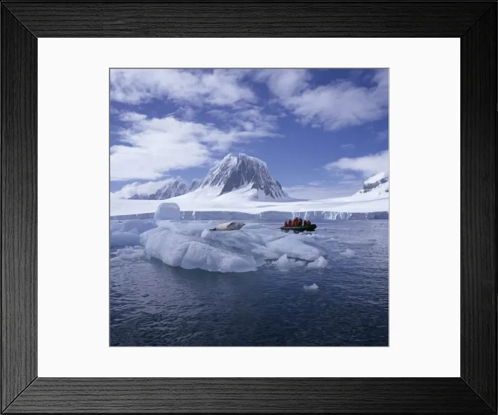Framed Print : Tourists in rigid inflatable boat approach a seal lying on the ice, west coast of the Antarctic Pensinula, Antarctica Framed Print : Tourists in rigid inflatable boat approach a seal lying on the ice, west coast of the Antarctic Pensinula, Antarctica