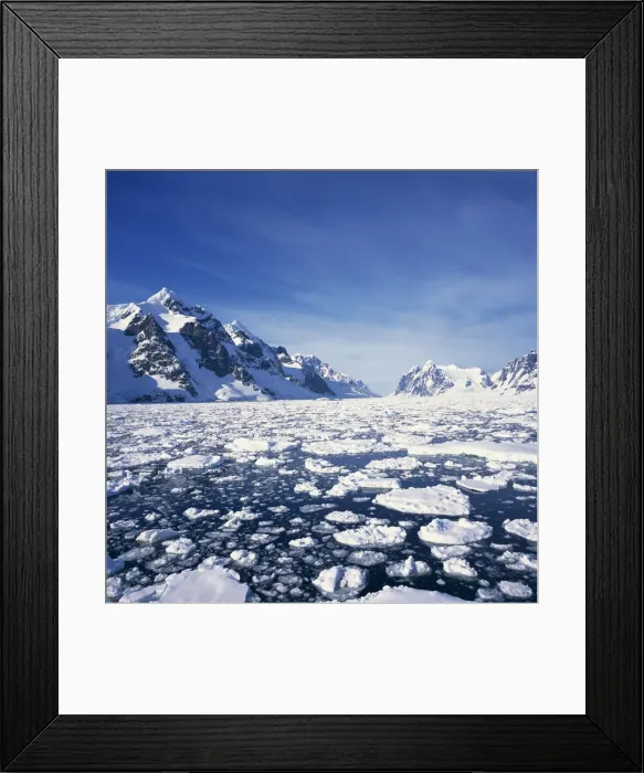 Framed Print : Loose pack ice in the sea, with the Antarctic Peninsula in the background Framed Print : Loose pack ice in the sea, with the Antarctic Peninsula in the background