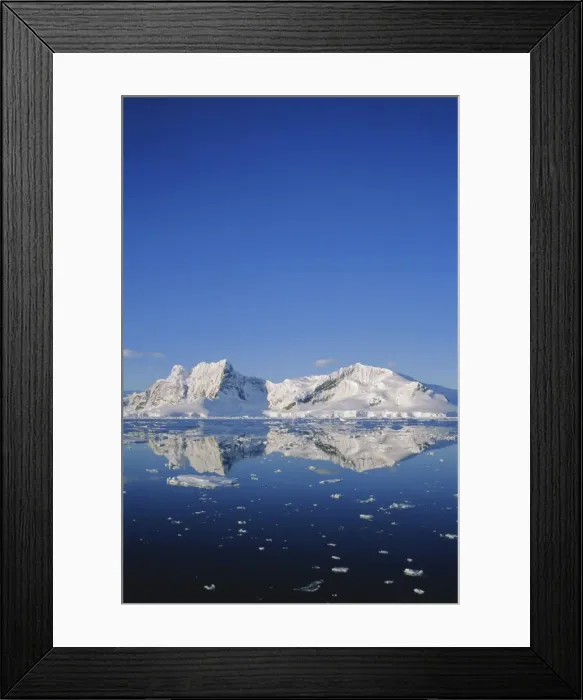 Framed Print : Landscape reflected in water, Antarctic Peninsula, Antarctica Framed Print : Landscape reflected in water, Antarctic Peninsula, Antarctica
