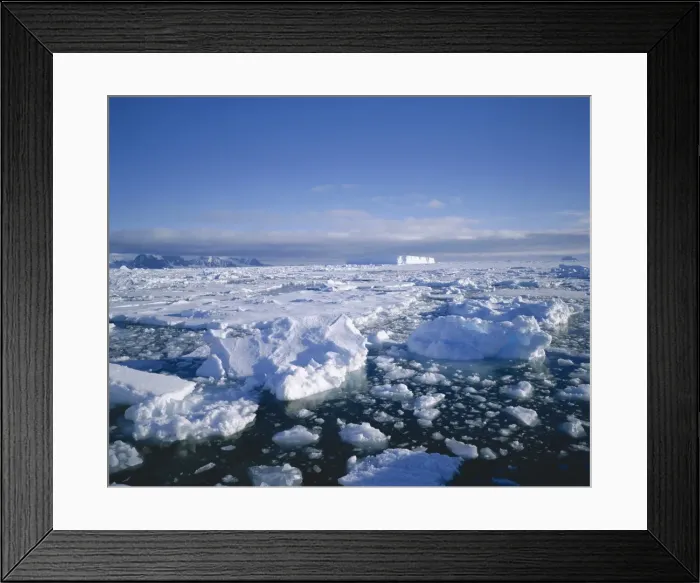 Framed Print : Sea ice and iceberg, Antarctica, Polar Regions Framed Print : Sea ice and iceberg, Antarctica, Polar Regions