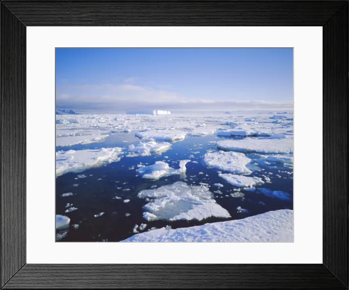 Framed Print : Sea ice and iceberg, Antarctica Framed Print : Sea ice and iceberg, Antarctica