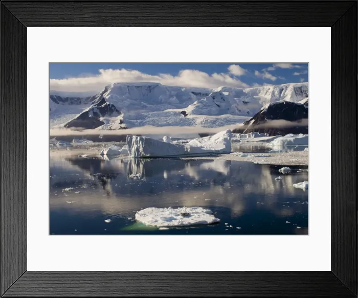Framed Print : Seal on the small iceberg on foreground, Gerlache Strait, Antarctic Peninsula Framed Print : Seal on the small iceberg on foreground, Gerlache Strait, Antarctic Peninsula