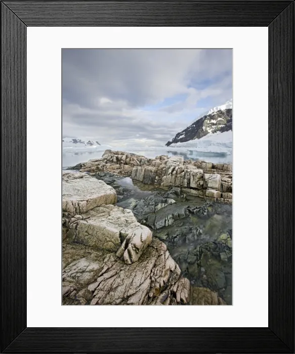 Framed Print : Neko Harbor, Antarctic Peninsula, Antarctica, Polar Regions Framed Print : Neko Harbor, Antarctic Peninsula, Antarctica, Polar Regions