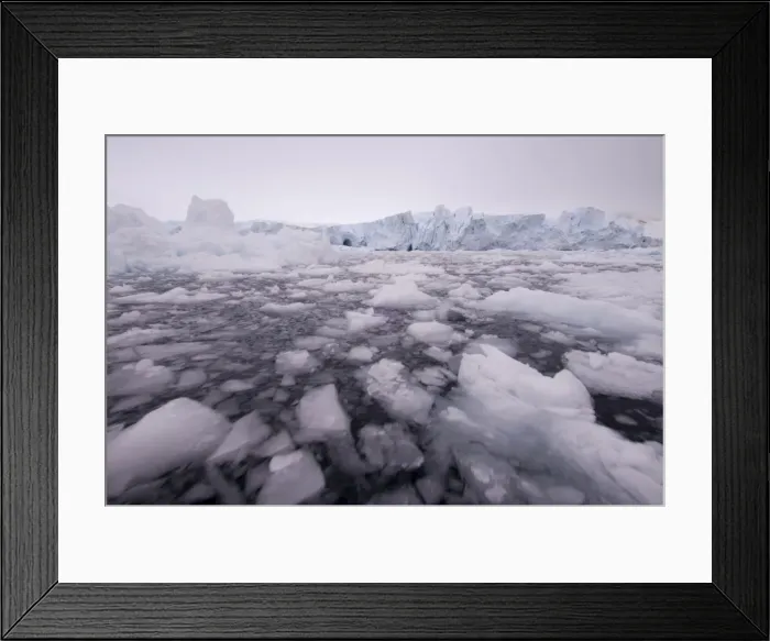 Framed Print : Paradise Bay, Antarctic Peninsula, Antarctica, Polar Regions Framed Print : Paradise Bay, Antarctic Peninsula, Antarctica, Polar Regions
