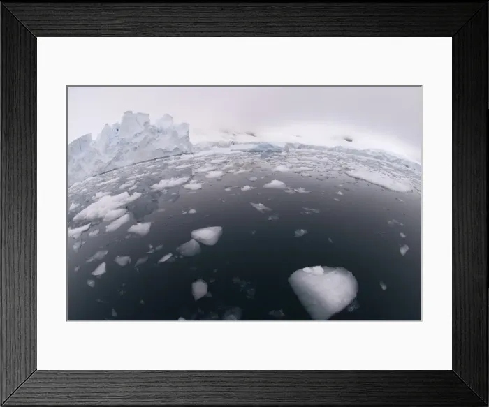 Framed Print : Paradise Bay, Antarctic Peninsula, Antarctica, Polar Regions Framed Print : Paradise Bay, Antarctic Peninsula, Antarctica, Polar Regions