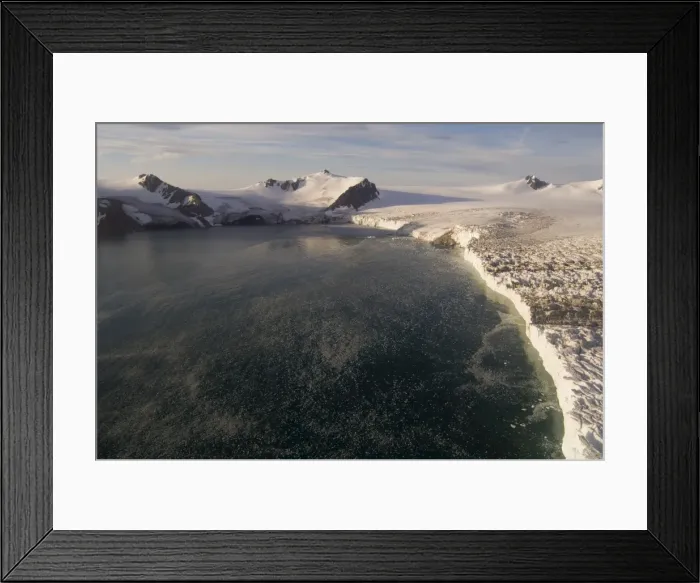 Framed Print : Helicopter flight on Huntress Glacier, False Bay, Livingston Island, South Shetland Islands Framed Print : Helicopter flight on Huntress Glacier, False Bay, Livingston Island, South Shetland Islands
