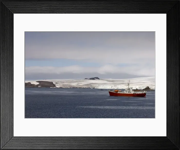 Framed Print : Antarctic Dream ship, Aitcho Island, South Shetland Islands, Antarctica, Polar Regions Framed Print : Antarctic Dream ship, Aitcho Island, South Shetland Islands, Antarctica, Polar Regions
