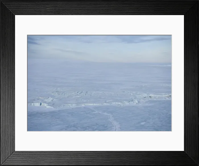 Framed Print : Pack ice, Antarctic Peninsula, Weddell Sea, Antarctica, Polar Regions Framed Print : Pack ice, Antarctic Peninsula, Weddell Sea, Antarctica, Polar Regions