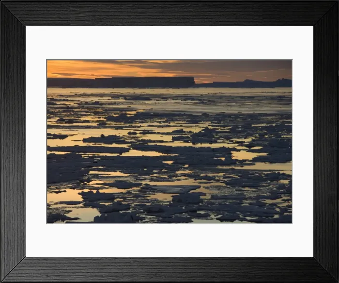 Framed Print : Pack ice, Antarctic Peninsula, Weddell Sea, Antarctica, Polar Regions Framed Print : Pack ice, Antarctic Peninsula, Weddell Sea, Antarctica, Polar Regions