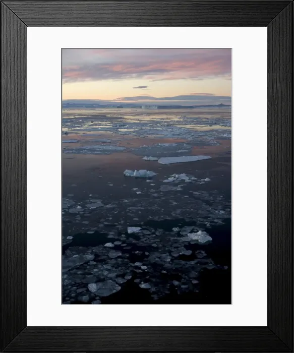 Framed Print : Pack ice and iceberg, Antarctic Peninsula, Weddell Sea, Antarctica, Polar Regions Framed Print : Pack ice and iceberg, Antarctic Peninsula, Weddell Sea, Antarctica, Polar Regions