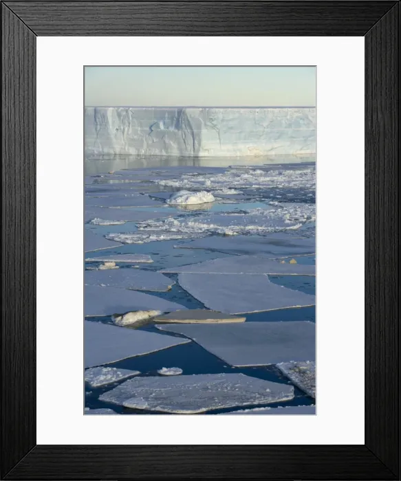 Framed Print : Pack ice and iceberg, Antarctic Peninsula, Weddell Sea, Antarctica, Polar Regions Framed Print : Pack ice and iceberg, Antarctic Peninsula, Weddell Sea, Antarctica, Polar Regions