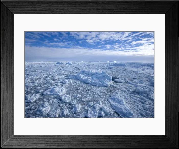Framed Print : Pack ice and icebergs, Antarctic Peninsula, Weddell Sea, Antarctica, Polar Regions Framed Print : Pack ice and icebergs, Antarctic Peninsula, Weddell Sea, Antarctica, Polar Regions