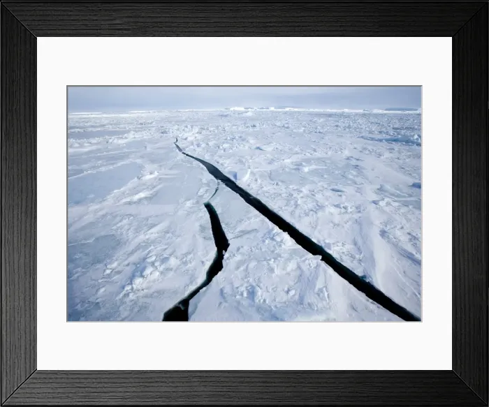 Framed Print : Pack ice, Weddell Sea, Antarctic Peninsula, Antarctica, Polar Regions Framed Print : Pack ice, Weddell Sea, Antarctic Peninsula, Antarctica, Polar Regions