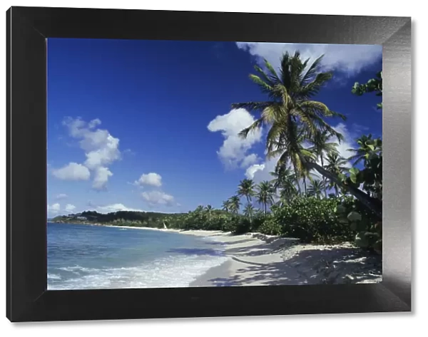 Galley Bay beach, Antigua, Caribbean, West Indies, Central America