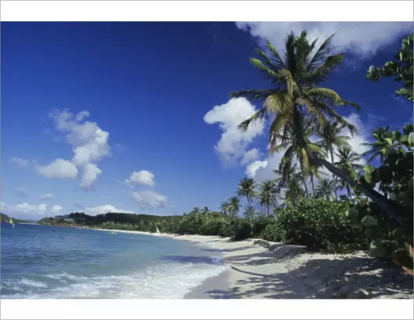 Galley Bay beach, Antigua, Caribbean, West Indies, Central America