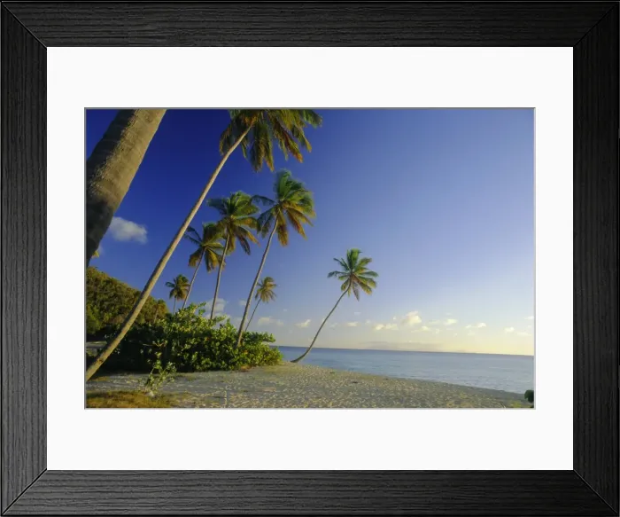 Framed Print : Darkwood Beach, Antigua, Caribbean, West Indies Framed Print : Darkwood Beach, Antigua, Caribbean, West Indies